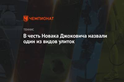 Джокович Новак - Даниэль Эванс - В честь Новака Джоковича назвали один из видов улиток - championat.com - Англия - Сербия