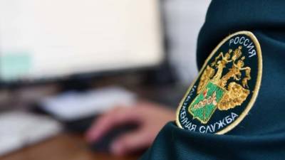 Мужчина пытался перевезти полтонны черемши через Белгород во Францию - nation-news.ru - Белгородская обл. - Белгород
