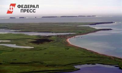 Василий Пискарев - Острова Курильской гряды готовы признать русскими на карте Google - fedpress.ru - Москва
