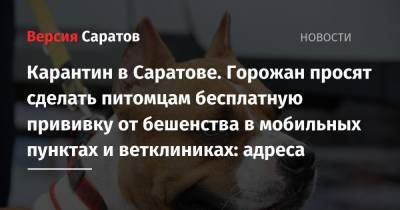 Карантин в Саратове. Горожан просят сделать питомцам бесплатную прививку от бешенства в мобильных пунктах и ветклиниках: адреса - nversia.ru - Саратовская обл. - Саратов