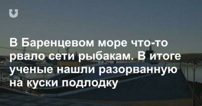В Баренцевом море что-то рвало сети рыбакам. В итоге ученые нашли разорванную на куски подлодку - news.tut.by - Россия