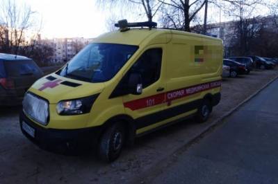 В Марий Эл скорая помощь добиралась к больной на лошади из-за бездорожья - aif.ru - респ. Марий Эл