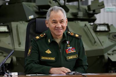 Сергей Шойгу - В Великобритании заподозрили Россию в желании клонировать древних воинов - lenta.ru - Англия