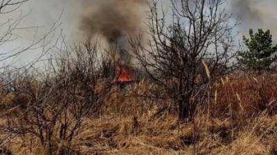 Пожар в Васильевке тушат более 70 человек, дачников эвакуировали - penzainform.ru - Пензенская обл.