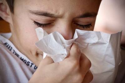 Медики рассказали, как отличить ОРВИ от аллергии по чиханию - lenta.ua