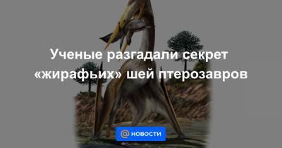 Ученые разгадали секрет «жирафьих» шей птерозавров - news.mail.ru