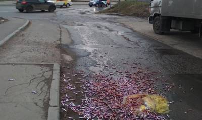 В Москве на дорогу выбросили сотни пробирок с остатками крови из «Гемотеста» - og.ru - Москва - район Гольяново