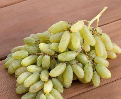 Сорт винограда Дамские пальчики: фото, описание, отзывы, характеристика - skuke.net - Виноград