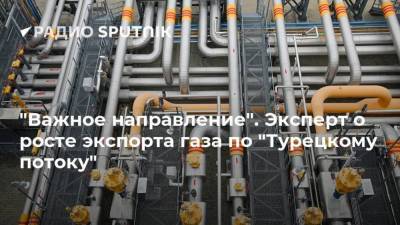 Никола Селакович - "Важное направление". Эксперт о росте экспорта газа по "Турецкому потоку" - smartmoney.one - Румыния - Сербия - Белград