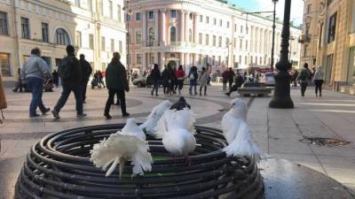 Что произошло в Петербурге 16 апреля: главные новости дня - piter.tv - Санкт-Петербург