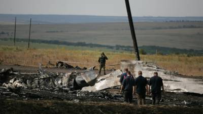 Олег Пулатов - В деле о крушении MH17 возник тайный эксперт, работающий на российской стороне - inforeactor.ru - Голландия