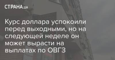 Курс доллара успокоили перед выходными, но на следующей неделе он может вырасти на выплатах по ОВГЗ - strana.ua - Украина