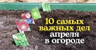 В апреле на даче дел по горло, с семи утра уже сную по огороду, в помощи родных не нуждаюсь - skuke.net