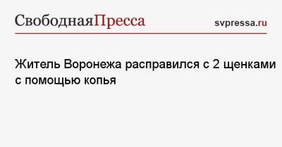 Житель Воронежа расправился с 2 щенками с помощью копья - svpressa.ru - Воронеж