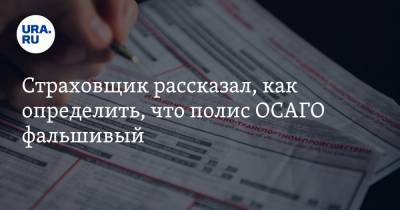 Страховщик рассказал, как определить, что полис ОСАГО фальшивый - ura.news