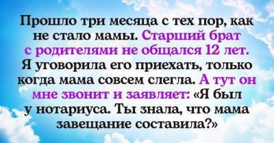 Три месяца прошло, как мамы больше нет, объявился бессовестный сынишка - skuke.net