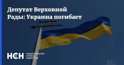 Вадим Рабинович - Депутат Верховной Рады: Украина погибает - nsn.fm - Украина