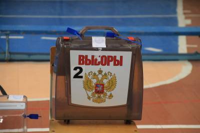 На довыборах в Смоленскую областную думу будет работать «горячая линия» УМВД - mk-smolensk.ru - Смоленск - Смоленская обл.