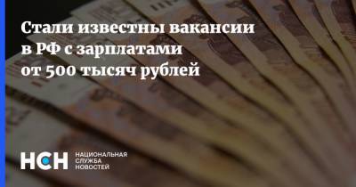 Стали известны вакансии в РФ с зарплатами от 500 тысяч рублей - nsn.fm - Россия