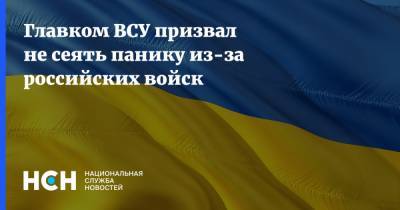 Руслан Хомчак - Главком ВСУ призвал не сеять панику из-за российских войск - nsn.fm - Украина