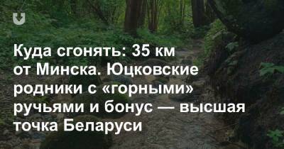 Куда сгонять: 35 км от Минска. Юцковские родники с «горными» ручьями и бонус — высшая точка Беларуси - news.tut.by - Дзержинск - Минск - Минская обл. - Брестская обл.