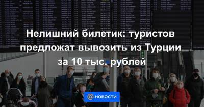 Нелишний билетик: туристов предложат вывозить из Турции за 10 тыс. рублей - news.mail.ru - Турция - Стамбул