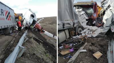 Фура устроила жуткое массовое ДТП на воронежской трассе: есть погибший и раненые - vestivrn.ru - Ставрополье - Борисоглебск
