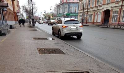 В Тюмени на улице Республики высадят крупные деревья - nashgorod.ru - Тюмень