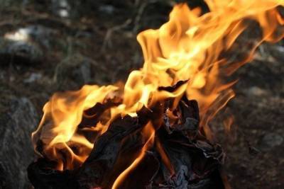 За минувшие сутки в Оренбуржье зарегистрировано 86 пожаров - oren.mk.ru - Оренбург - Оренбургская обл.