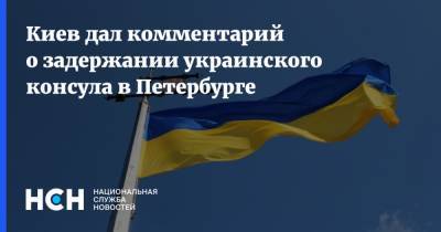 Евгений Енин - Киев дал комментарий о задержании украинского консула в Петербурге - nsn.fm - Россия - Украина - Киев - Санкт-Петербург