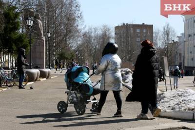 Какие семьи в Коми претендуют на выплату в 14 тысяч при рождении первенца - bnkomi.ru - респ. Коми