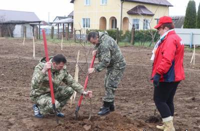 Расти, сад, вместе с детьми… В рамках Года народного единства на Республиканском субботнике в Ивье состоялась закладка Сада дружбы - grodnonews.by - Благоустройство