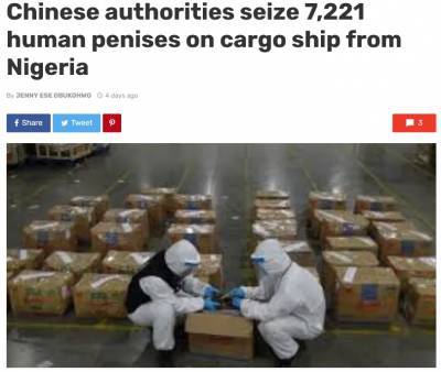 7221 пенис африканского происхождения были изъяты китайскими таможенниками - rusjev.net - Нигерия - Лагос - Шанхай