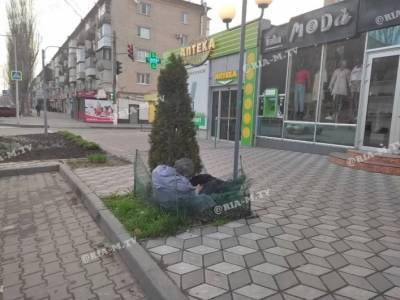 Курьезы. Хмельной «цветочек» на клумбе озадачил дворников в Мелитополе (фото) - w-n.com.ua - Мелитополь