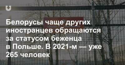 Белорусы чаще других иностранцев обращаются за статусом беженца в Польше. В 2021-м — уже 265 человек - news.tut.by - Польша - Афганистан