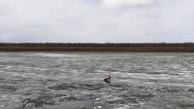 Тюменца, плывущего на льдине по Иртышу, спасли сотрудники МЧС - nashgorod.ru - район Уватский