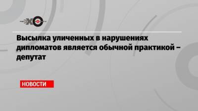 Алексей Чепа - Александр Сосонюк - Высылка уличенных в нарушениях дипломатов является обычной практикой – депутат - echo.msk.ru - Москва - Санкт-Петербург
