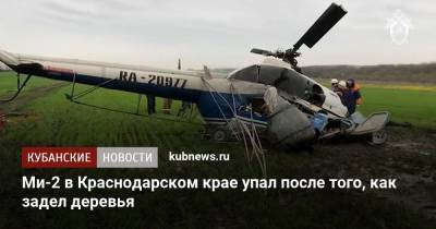 Ми-2 в Краснодарском крае упал после того, как задел деревья - kubnews.ru - Краснодарский край - Краснодар - Новороссийск