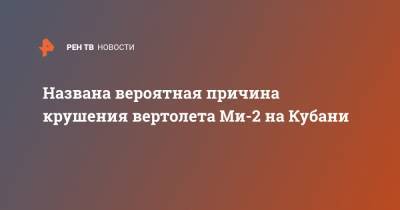 Названа вероятная причина крушения вертолета Ми-2 на Кубани - ren.tv - Краснодарский край - Краснодар - Новороссийск
