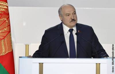 Александр Лукашенко - Александр Бортников - Лукашенко заявил о задержании заговорщиков после обращения к Путину - interfax.ru - Москва - Белоруссия