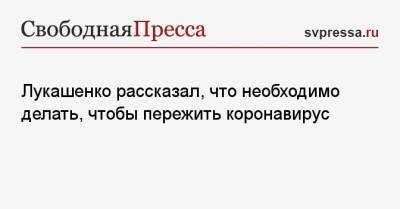 Александр Лукашенко - Лукашенко рассказал, что необходимо делать, чтобы пережить коронавирус - svpressa.ru - г. Александрия - Могилевская обл.