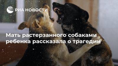 Мать растерзанного собаками ребенка рассказала о трагедии - ria.ru - Москва - Башкирия - район Учалинский