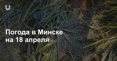 Погода в Минске на 18 апреля - news.tut.by - Минск - Минская обл.