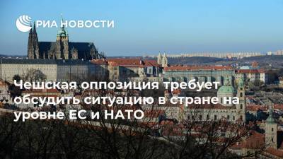 Александр Петров - Руслан Боширов - Ян Гамачек - Андрей Бабиш - Чешская оппозиция требует обсудить ситуацию в стране на уровне ЕС и НАТО - ria.ru - Чехия - Прага