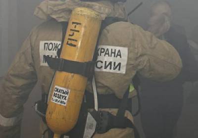 Три человека погибли при пожаре в деревянном доме в Пензенской области - argumenti.ru - Санкт-Петербург - Пензенская обл.