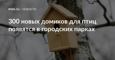 300 новых домиков для птиц появятся в городских парках - mos.ru - Москва