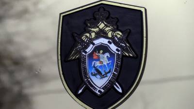 Извращенец изнасиловал школьницу у Анненских укреплений в Выборге - polit.info - Ленинградская обл. - Выборг - Нападение
