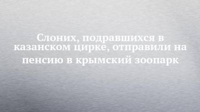 Олег Зубков - Слоних, подравшихся в казанском цирке, отправили на пенсию в крымский зоопарк - chelny-izvest.ru - Крым