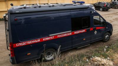 Погиб в реке: в Оби завершили поиски 6-летнего ребенка - vesti.ru - Новосибирск - Новосибирская обл.