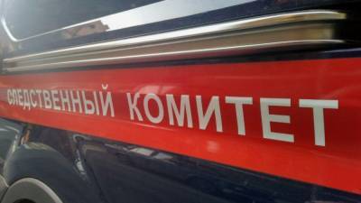 Александр Бастрыкин - Бастрыкин потребовал от следователей доклад по делу о гибели девушки в Подмосковье - nation-news.ru - Московская обл.